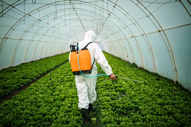Best Best Pest Control Companies  in , SD