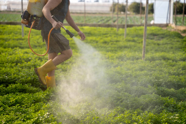 Best Commercial Pest Control Services  in , SD