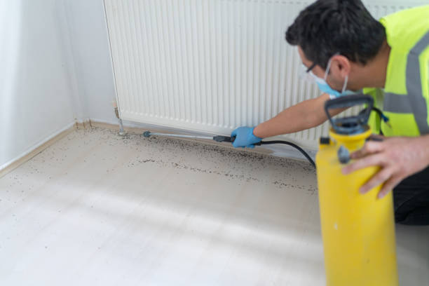 Best Bed Bug Extermination  in , SD