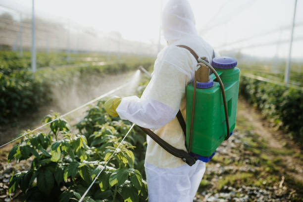 Best Affordable Pest Control Services  in , SD